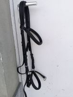 Bitless bridle, trensenloser Zaum WB