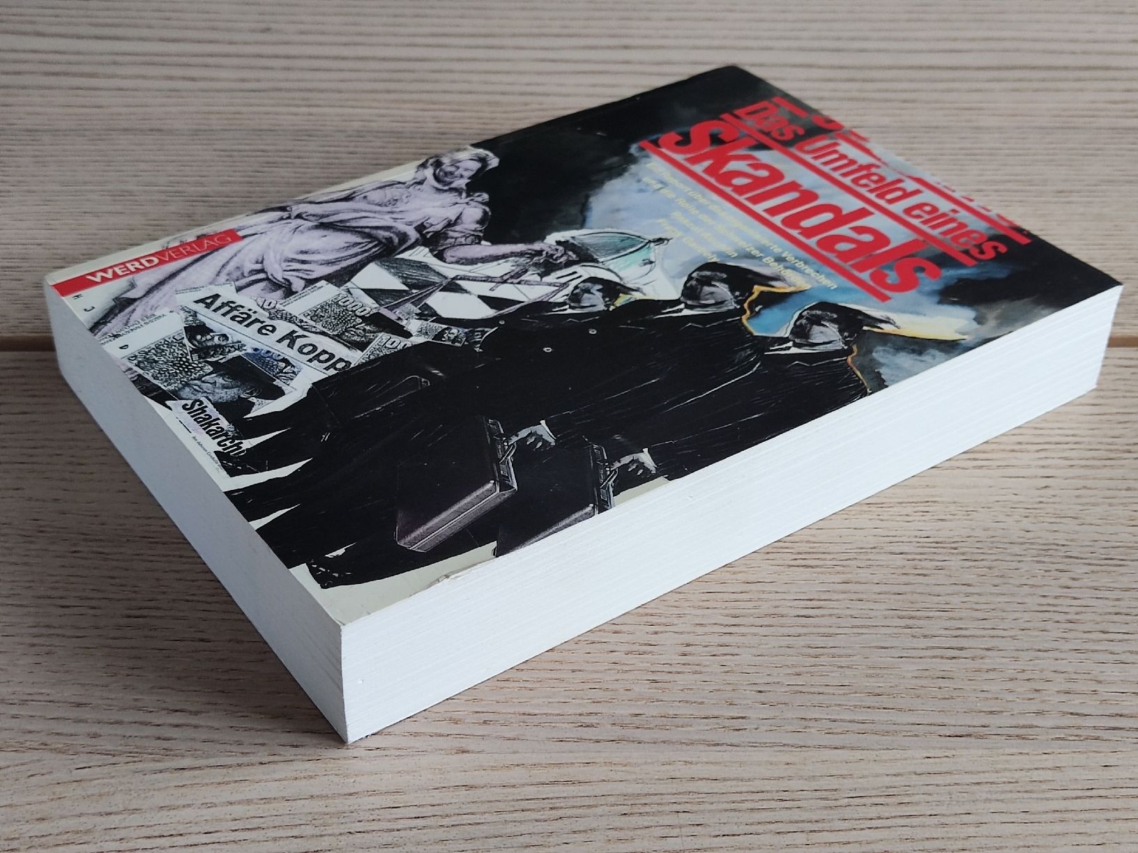 Libri: Das Umfeld eines Skandals – Pascal Auchlin, Frank Garbely – Usato da Schaffhausen venduto da philscardstore 3