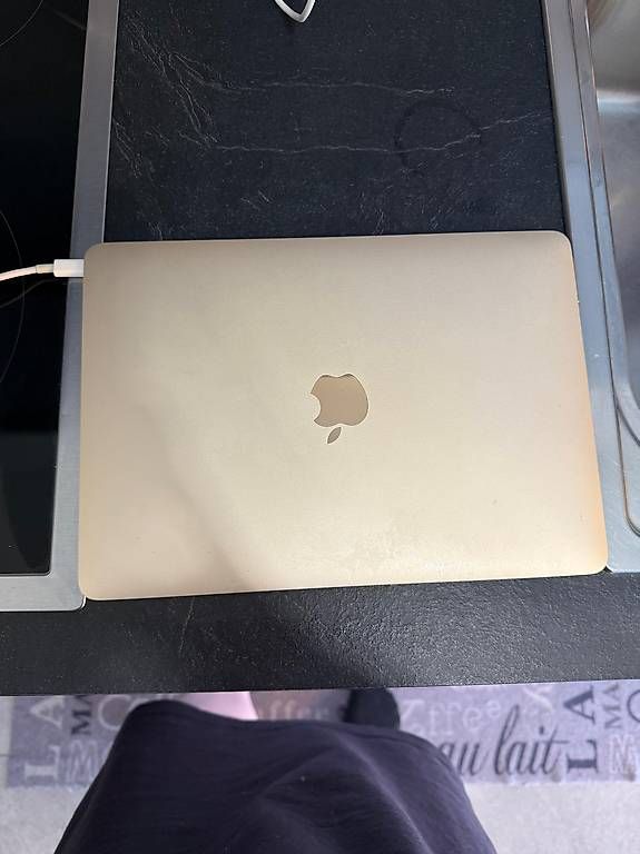 Notebook: Macbook 2017 256gb comme neuf – Usato da Cheseaux sur Lausanne venduto da claudio1004