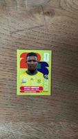 Panini Karte Mbokazi wie neu