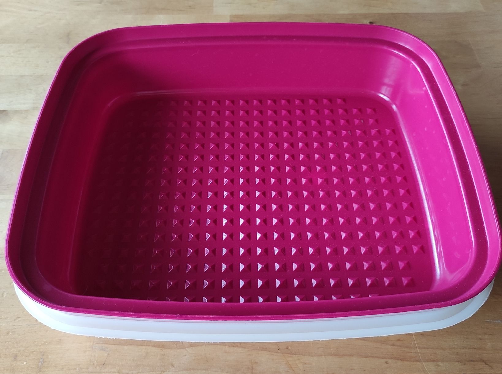 Tupperware Contenitori & Simili: Fleischmarinierer/ Box Tupperware 🍀 – Usato da Steinerberg venduto da Minka10 2