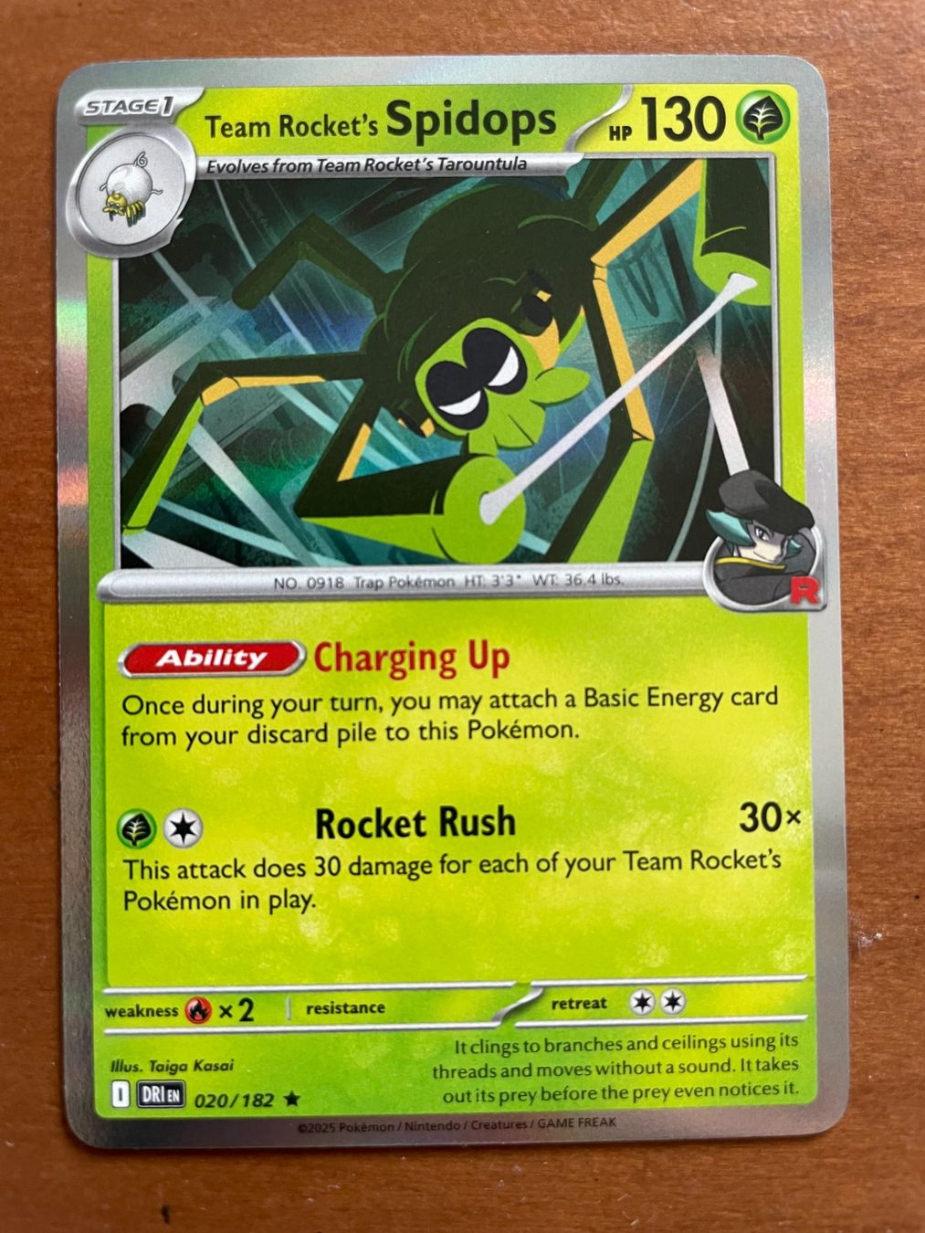 Pokémon Carte collezionabili: Pokemon Team Rocket's Spidops Holo (Versand gratis) – Nuovo (secondo la descrizione) da Chur venduto da Angerson