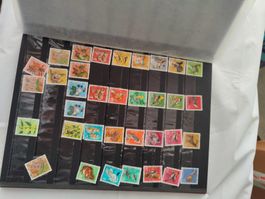 Briefmarken Album Europa und Natur Motive guter Zustand