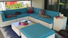Lounge Kissen Gebraucht / Preis verhandelbar.