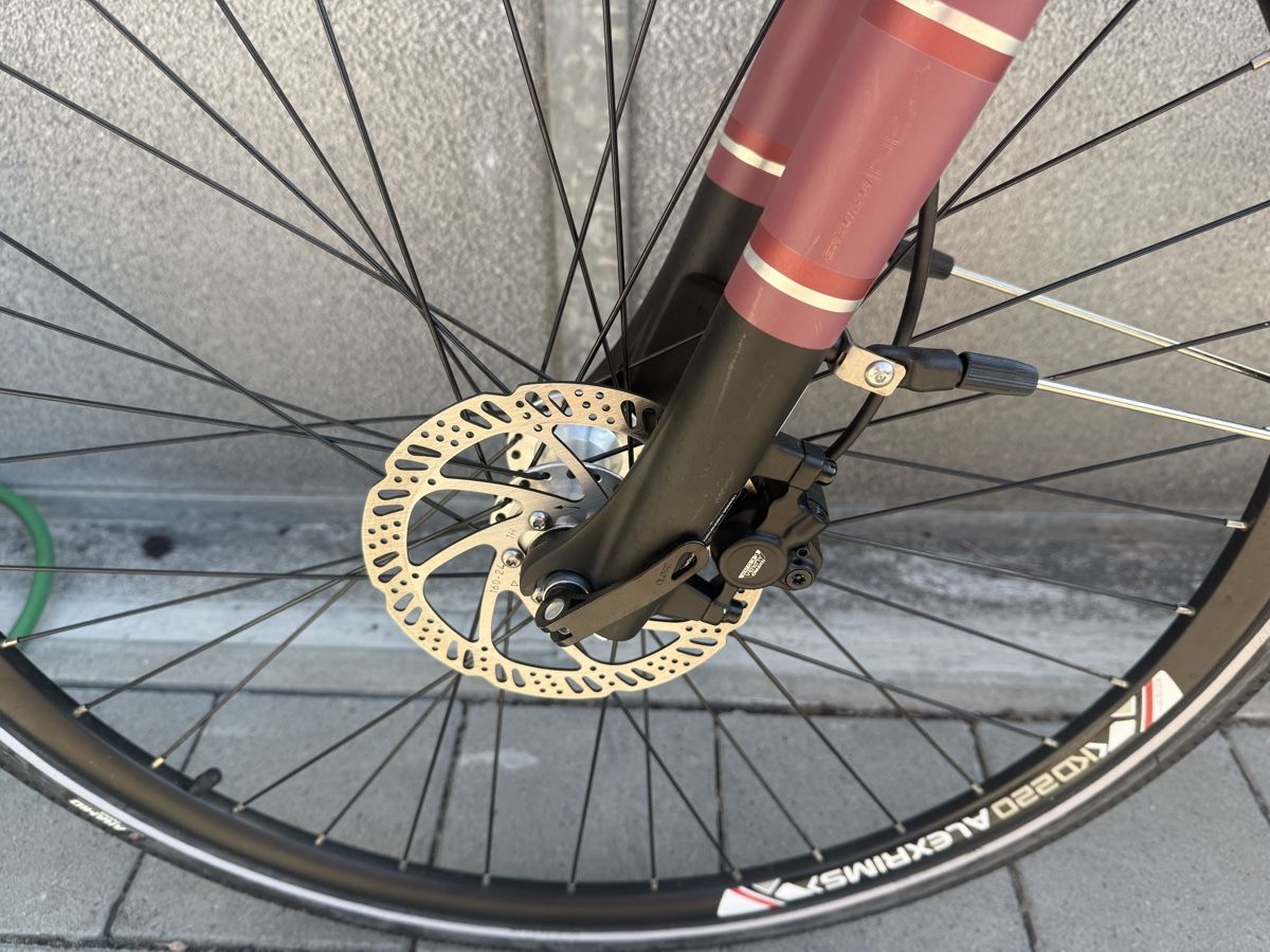 Zenith Bikes Biciclette: Zenith Damen E-Bike – Usato da Oberentfelden venduto da speed_71 7