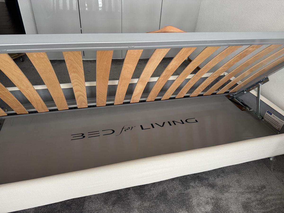 Sofas: Swissplus Singolo Bettsofa  – Gebraucht aus Luzern von MN12 1