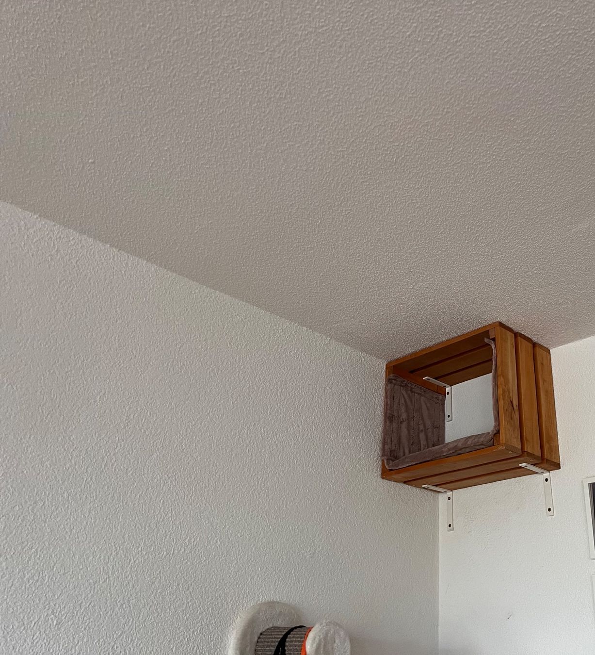 Pareti & prese d'arrampicata: Kletterwand Katzen – Usato da Uster venduto da NElsner 5