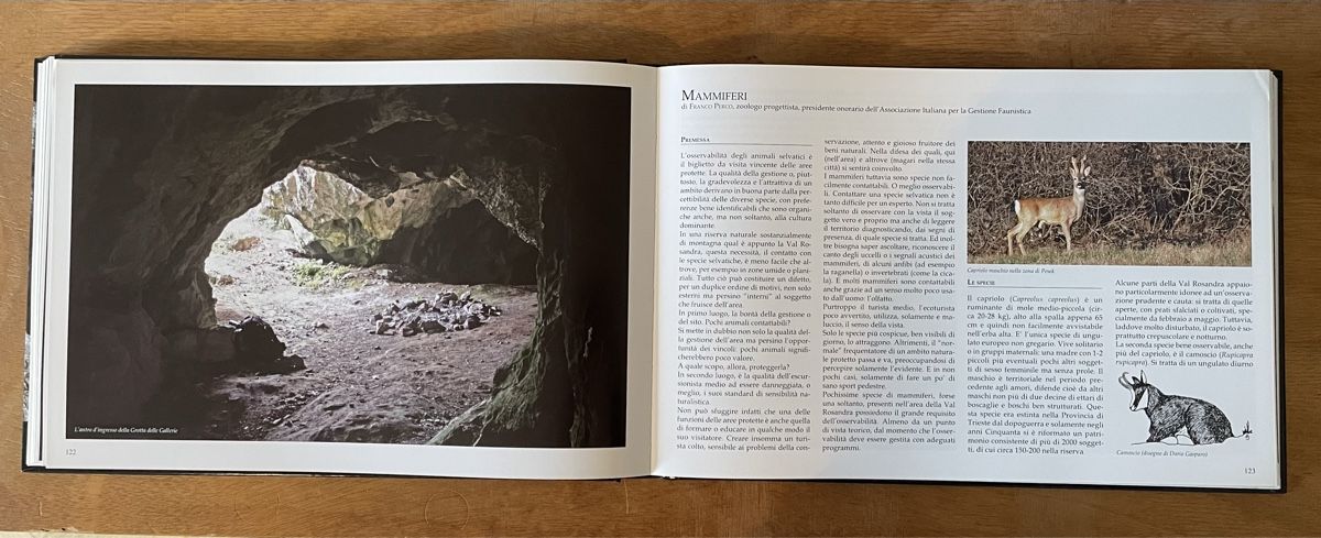 Libri: La Val Rosandra e l'ambiente circostante – Usato da Zürich venduto da WWehrle 3