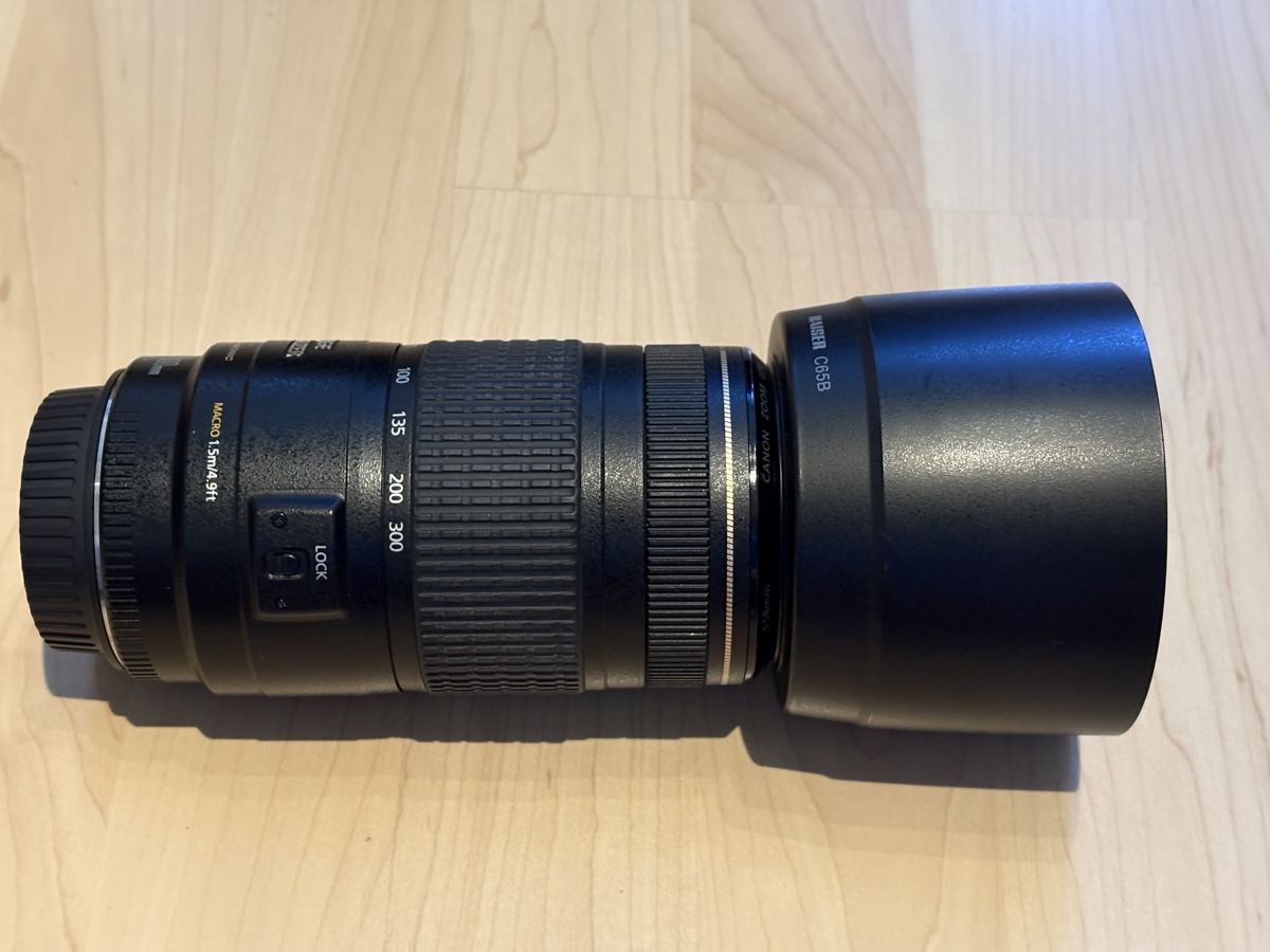 Canon Obiettivi: Canon EF 70-300 mm – Usato da Worben venduto da snoopdoggy_snoop 2