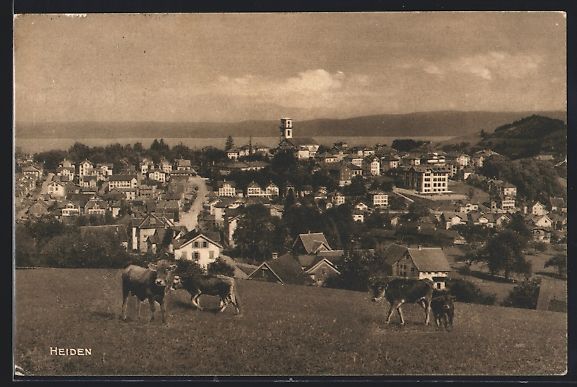 Cartoline postali: Heiden, Ortsansicht, Kühe auf der Weide – Usato da Berlin venduto da bartko-reher