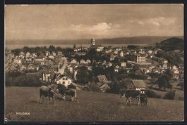 Heiden, Ortsansicht, Kühe auf der Weide