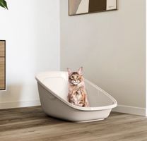 2 x SAVIC Katzen Toilette Aseo Giant - Mocca - wie neu!