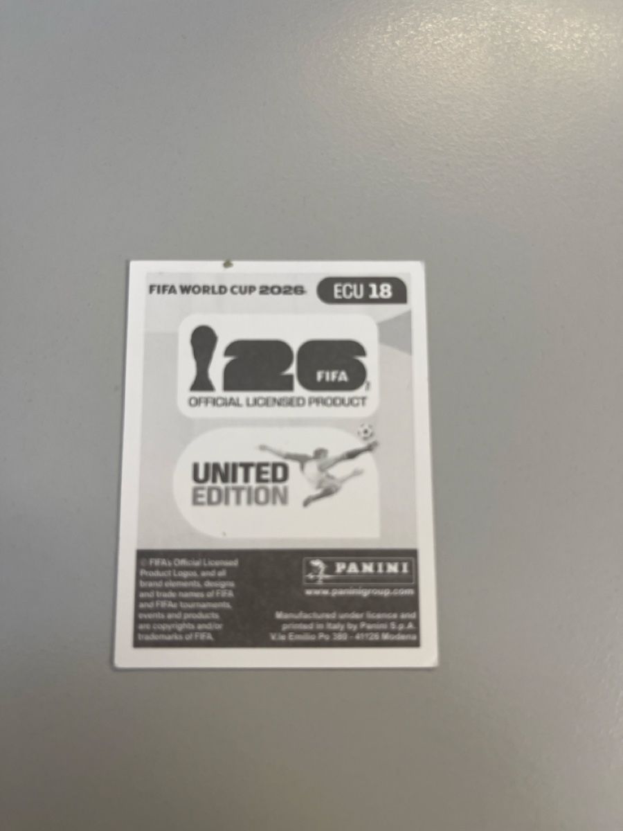 Panini Carte collezionabili: Panini 2026 – Nuovo e nell'imballaggio originale da Teufenthal AG venduto da Ceylan 1