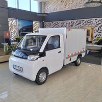Eco-Car Maxi pic-up und Van 80km/h Reichweite 180km