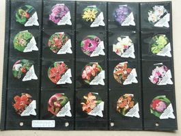 DE     Serie   81 A            Orchideen 2           Steg