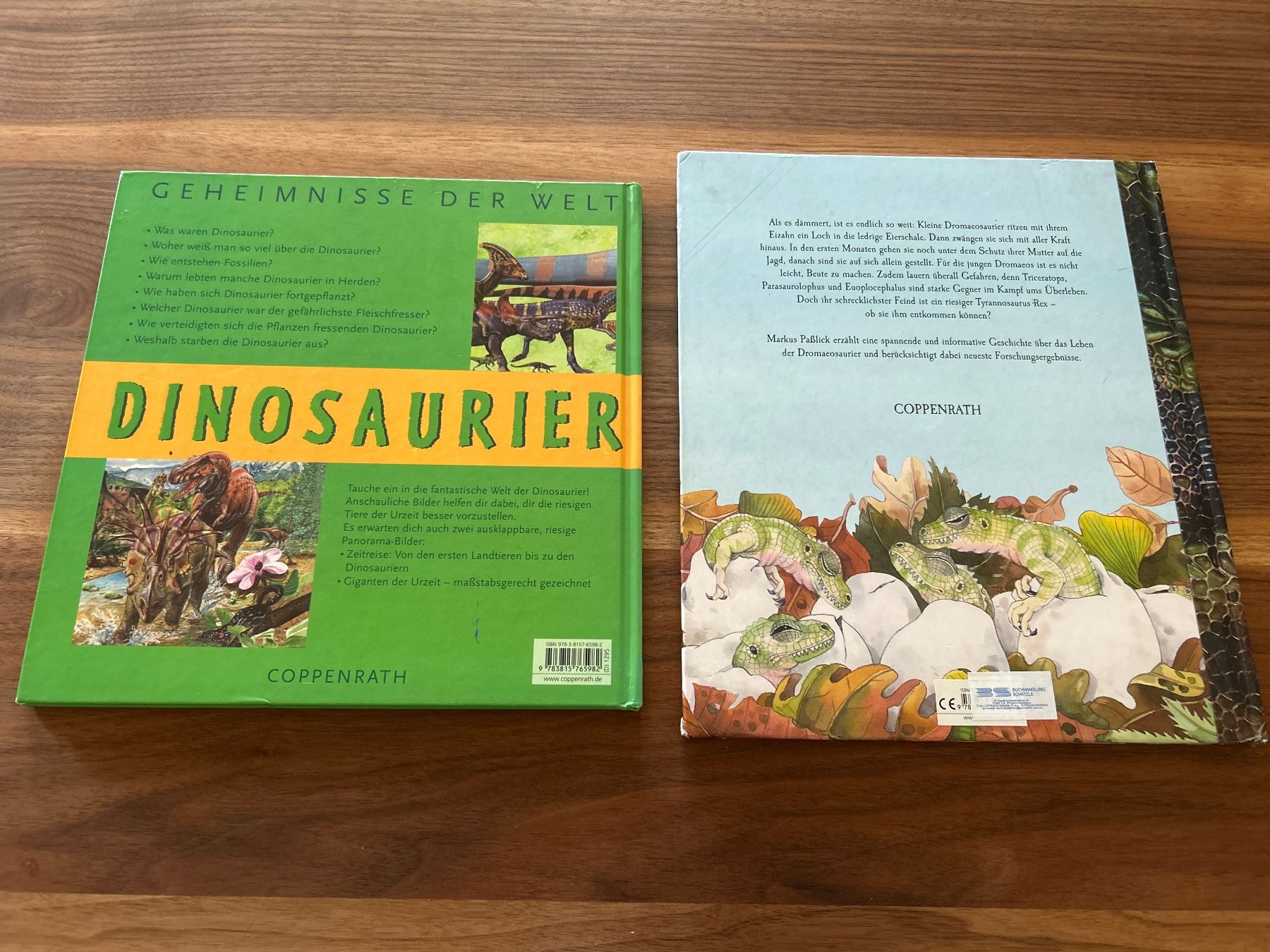 Libri: Dinosaurier Bücher von Coppenrath – Usato da Magden venduto da ctw_mp7b 1