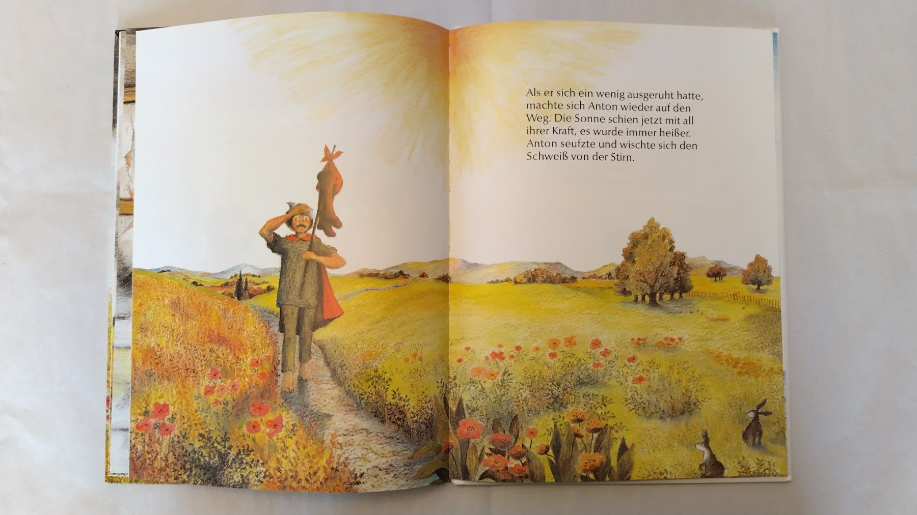 Libri: Bernadette / Sonne und Wind - Wer ist der Stärkste? – Usato da Bellach venduto da JingleJerry 6