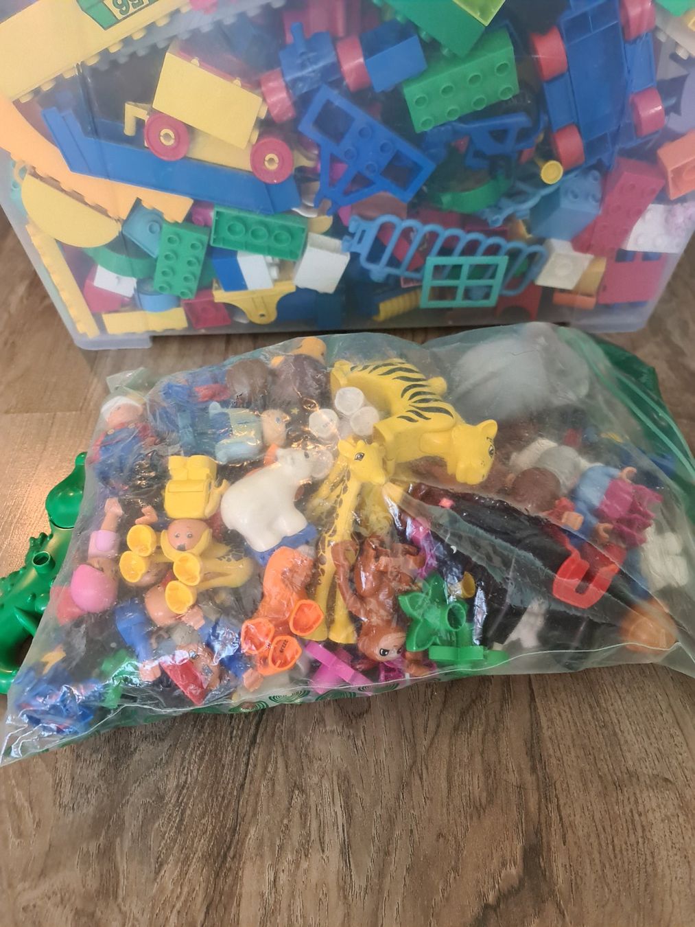 Lego Giocattoli: 11kg Duplos – Usato da Dübendorf venduto da upamiggi01 1