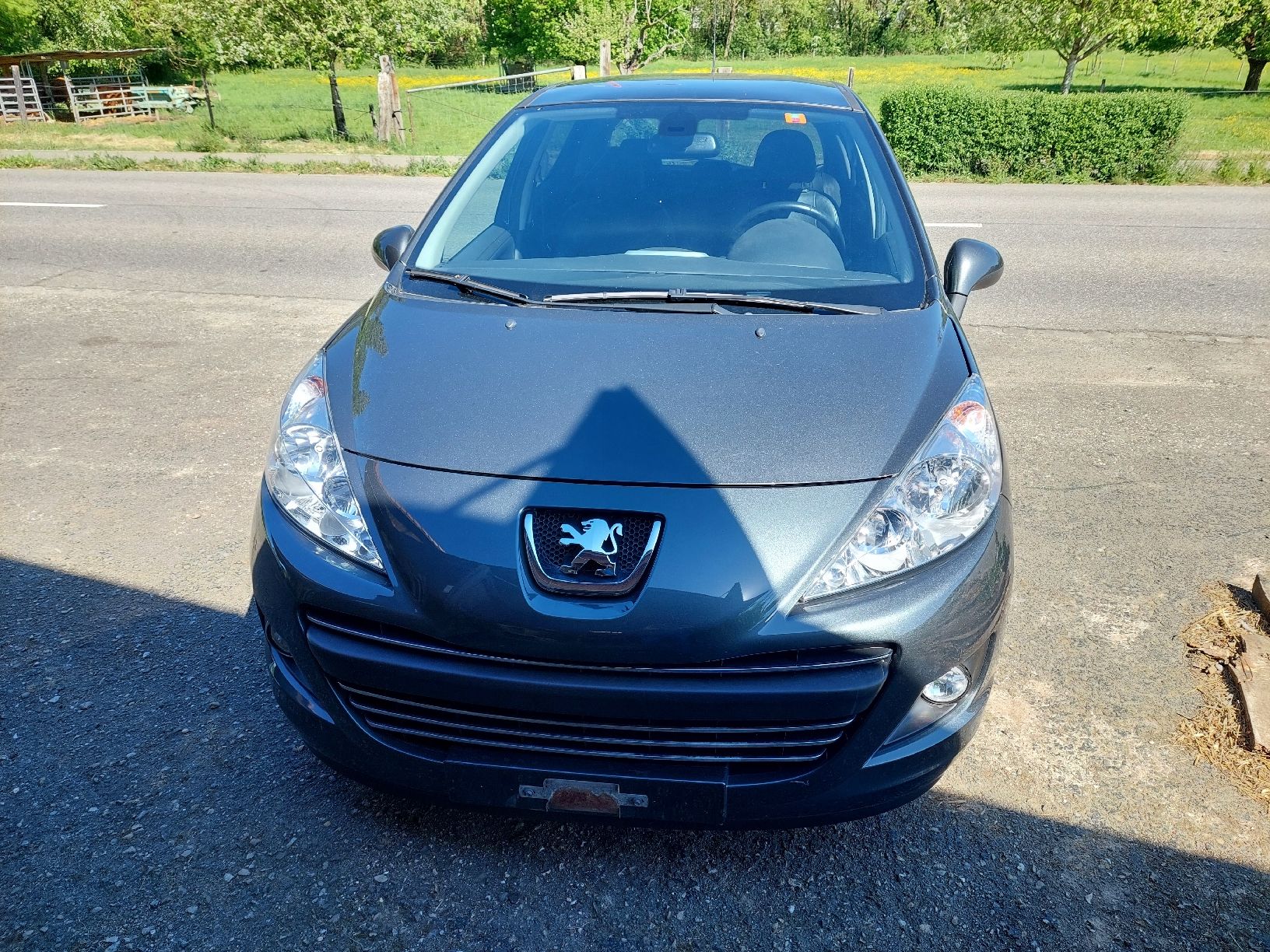 Peugeot Autos: Peugeot 207 1.6HDi – D'occasion à Seewen SZ par Kur_ykn6