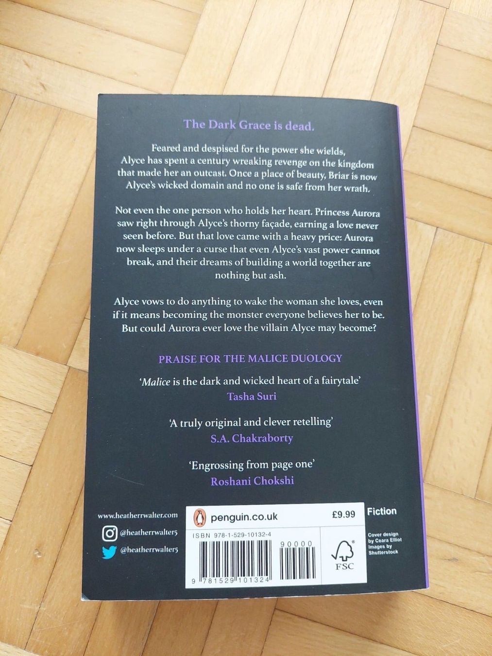 Libri: Buch: Misrule; Did theo break a curse or begin one? – Usato da Reinach AG venduto da geo_bmc8 1