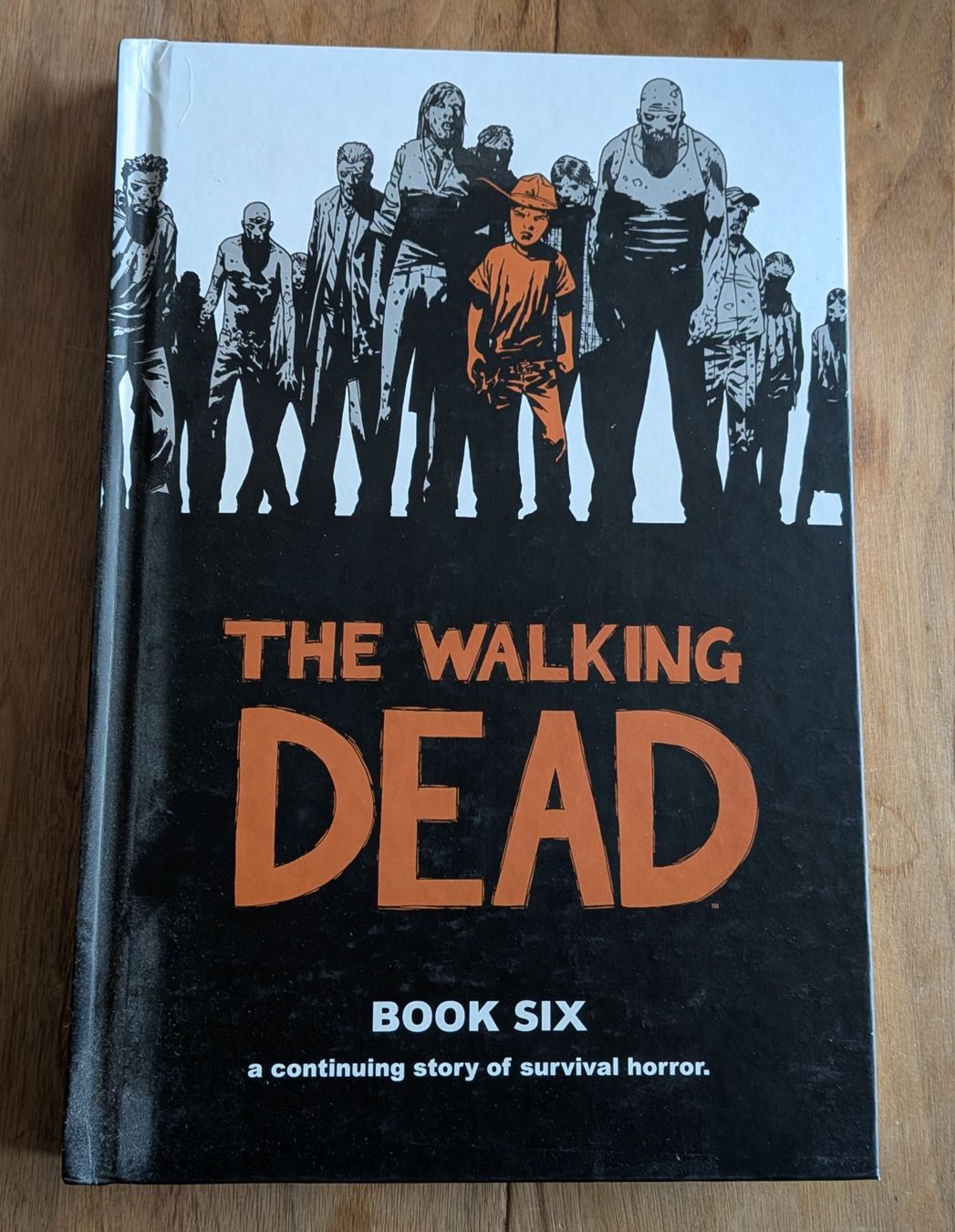 Fumetti: The Walking Dead Book Six Comic – Usato da Zürich venduto da nz_michaelh