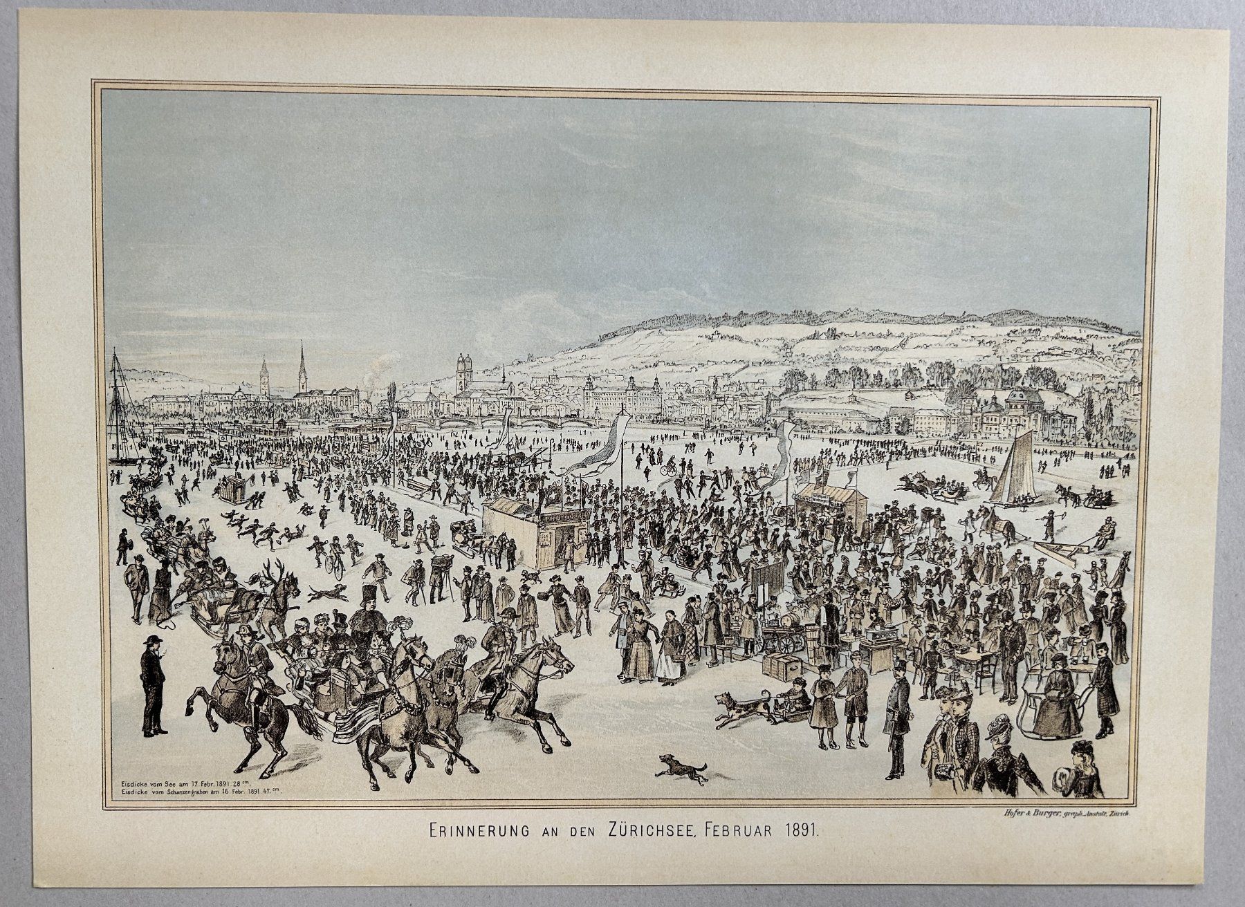 Poster & Bilder: SEEGRÖRNI IN ZÜRICH 1891 – Gebraucht aus Zürich von Domus09 3