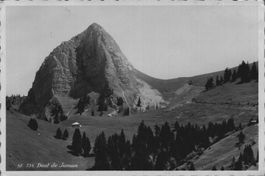 Originale Vintage Postkarte Dent de Jaman, Schweiz, 1938