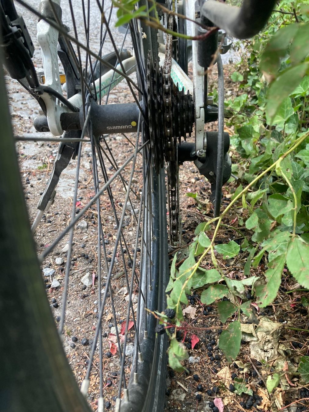 Biciclette: Jugendlichenvelo – Usato da Kirchlindach venduto da roland0101 2