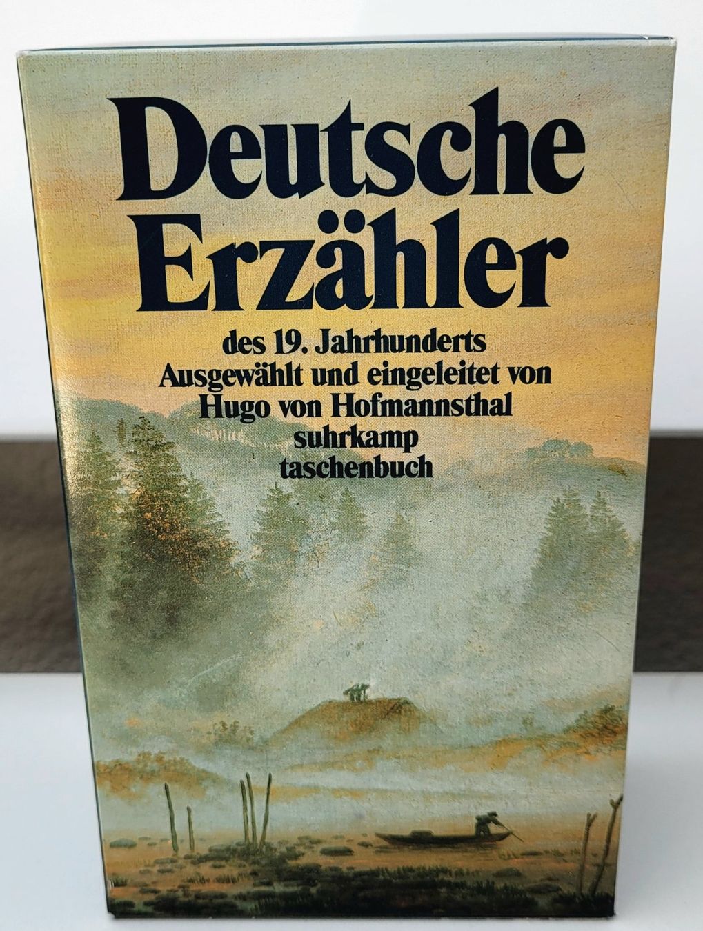 Libri: Kassette Deutsche Erzähler Suhrkamp Verlag – Usato da Oberuzwil venduto da rtr_wp6m 2