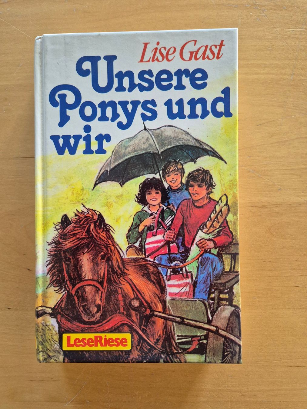 Bücher: Jugendbuch mit Pferden – Gebraucht aus Beromünster von nicolet78