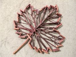 Laub Blatt Ahorn gross mit Stiel rötliche Ästchen rustikal