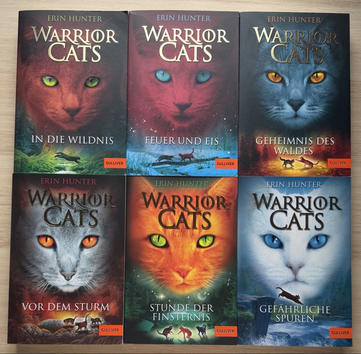 Libri: WARRIOR CATS Staffel 1 Band 1-6 – Usato da Zürich venduto da Fuxion