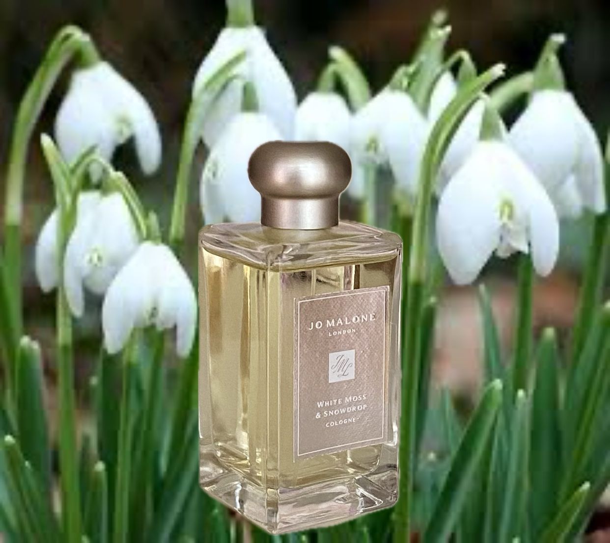 Jo Malone Profumi & Eau de Toilette: Jo Malone White Moss & Snowdrop 3 ml probe – Usato da Täuffelen venduto da RoyaltyBrown 1