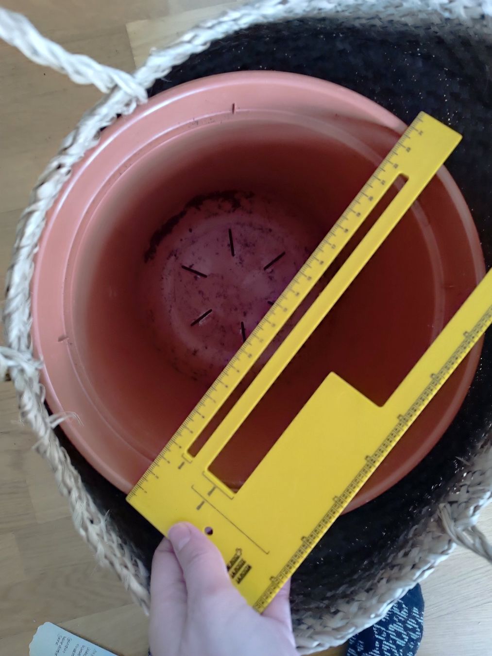 Altro per la casa: Korb Topf für Pflanze – Usato da Horgen venduto da sunny080 3