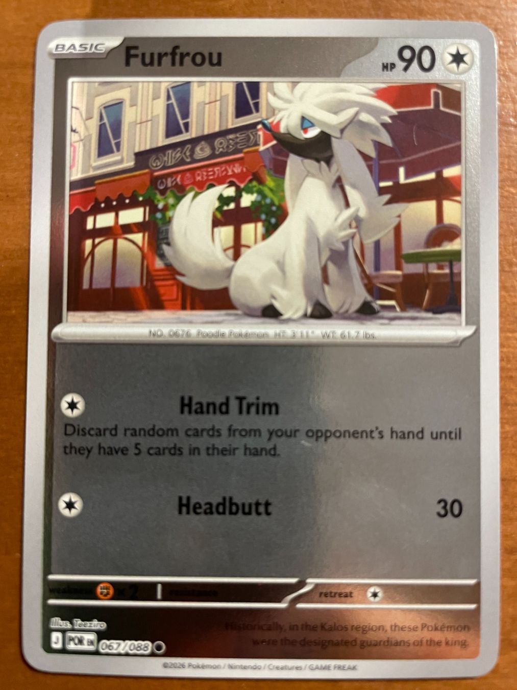 Pokémon Carte collezionabili: Pokemon Furfrou Reverse (Versand gratis) – Nuovo (secondo la descrizione) da Chur venduto da Angerson