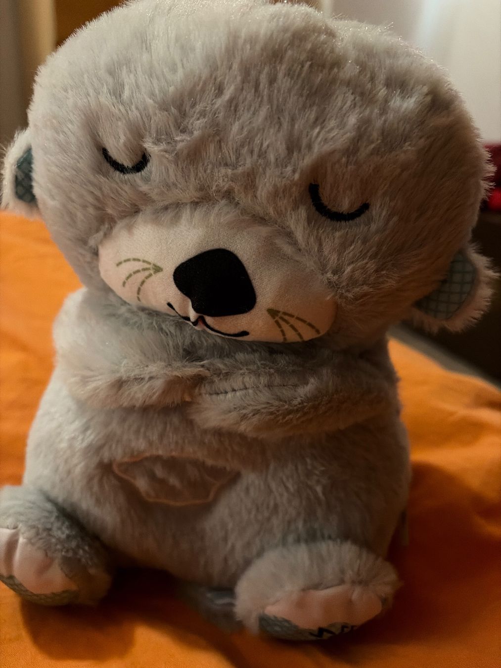Jouets: Schlummerotter – Neuf (Voir description) à Gossau ZH par Daniela710 1