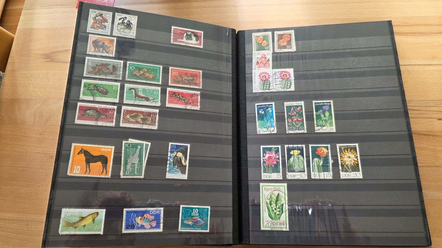 Tous les timbres: Briefmarkensammlung DDR – D'occasion à Wettswil par Schnuebe 3