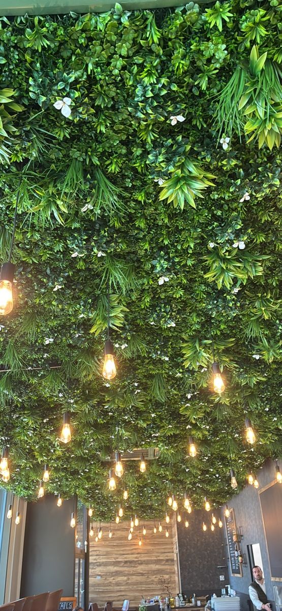 Lampadari & plafoniere: Plafond végétal artificiel  – Usato da Grandvillard venduto da cha_k88q 4