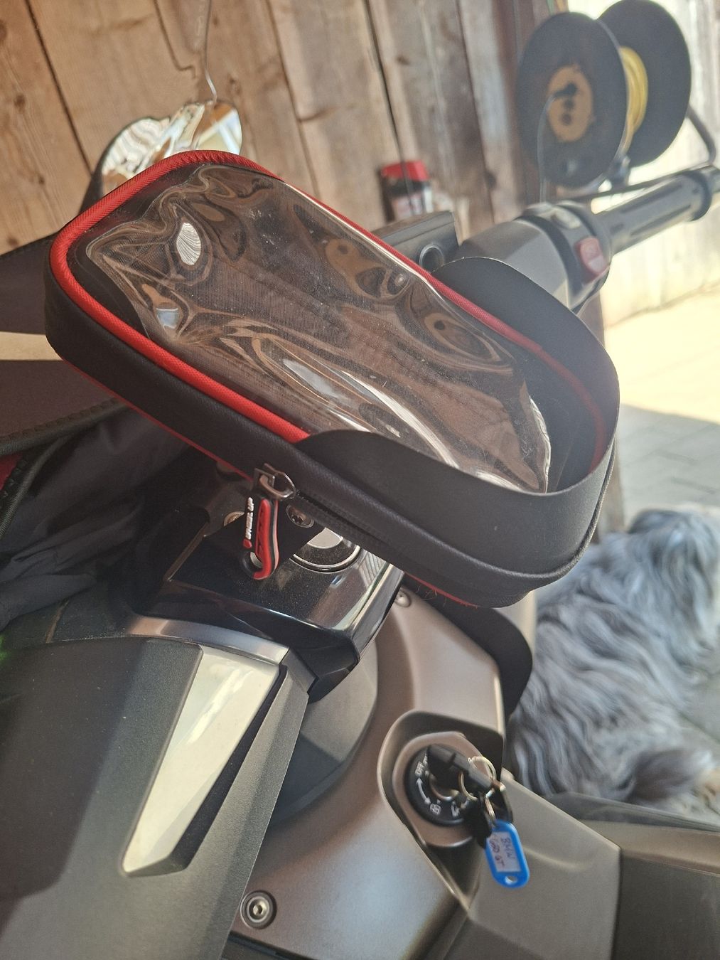 Scooters: BMW C 650 GT – Neu (gemäss Beschreibung) aus Vordemwald von Stenzi 6