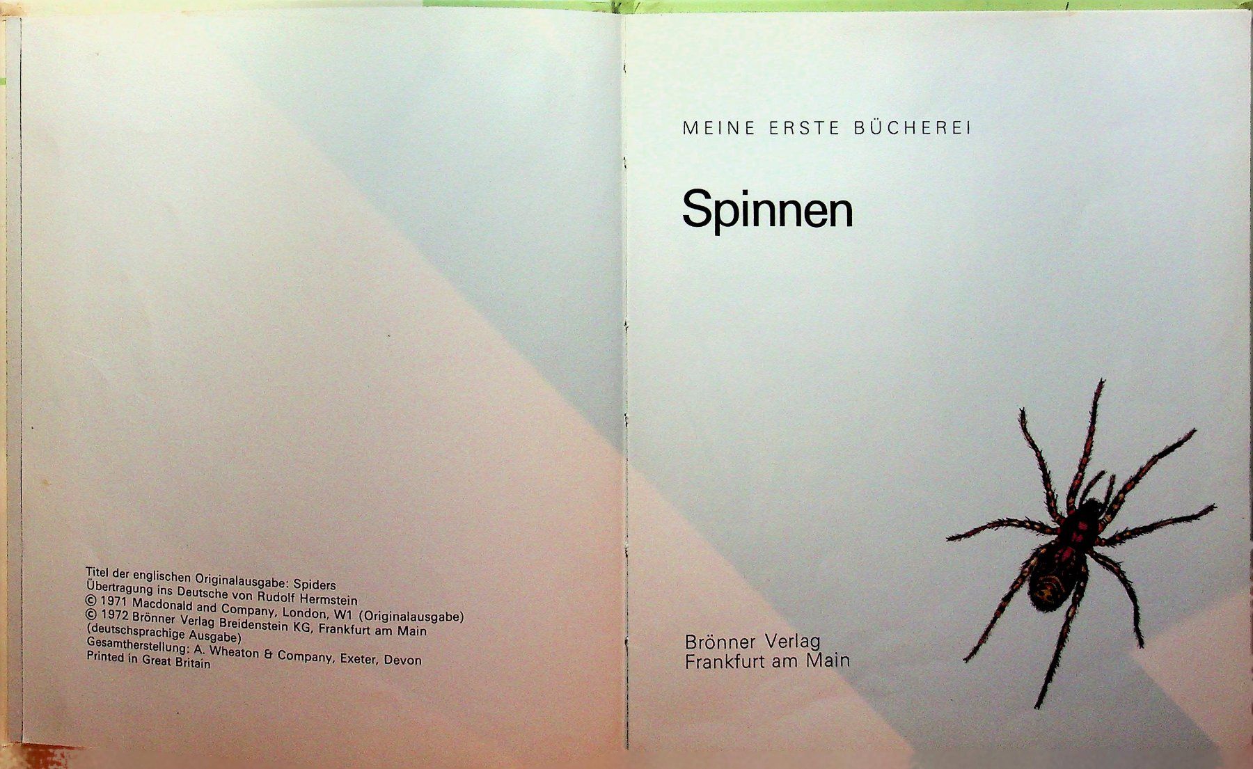 Libri: Spinnen   Brönner Kinderbücher 1972 – Usato da Reitnau venduto da Zaomir 3