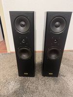 Kendo Standlautsprecher Massivholz, 