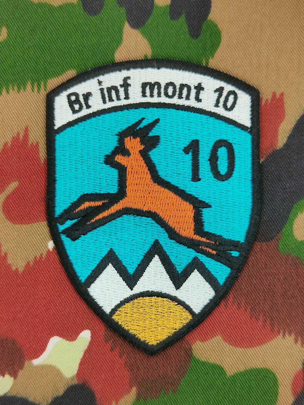 Schweizer Armee Placchette & Badge: Verbandsabzeichen Gebirgsinfanteriebrigade 10 Stab – Usato da Bauma venduto da SwissMilitaria