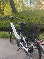 E-Bike Hercules Rob Fold 9 Performance 