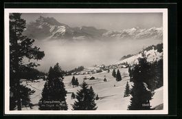 Chesières, Panorama et les Depts du Mid