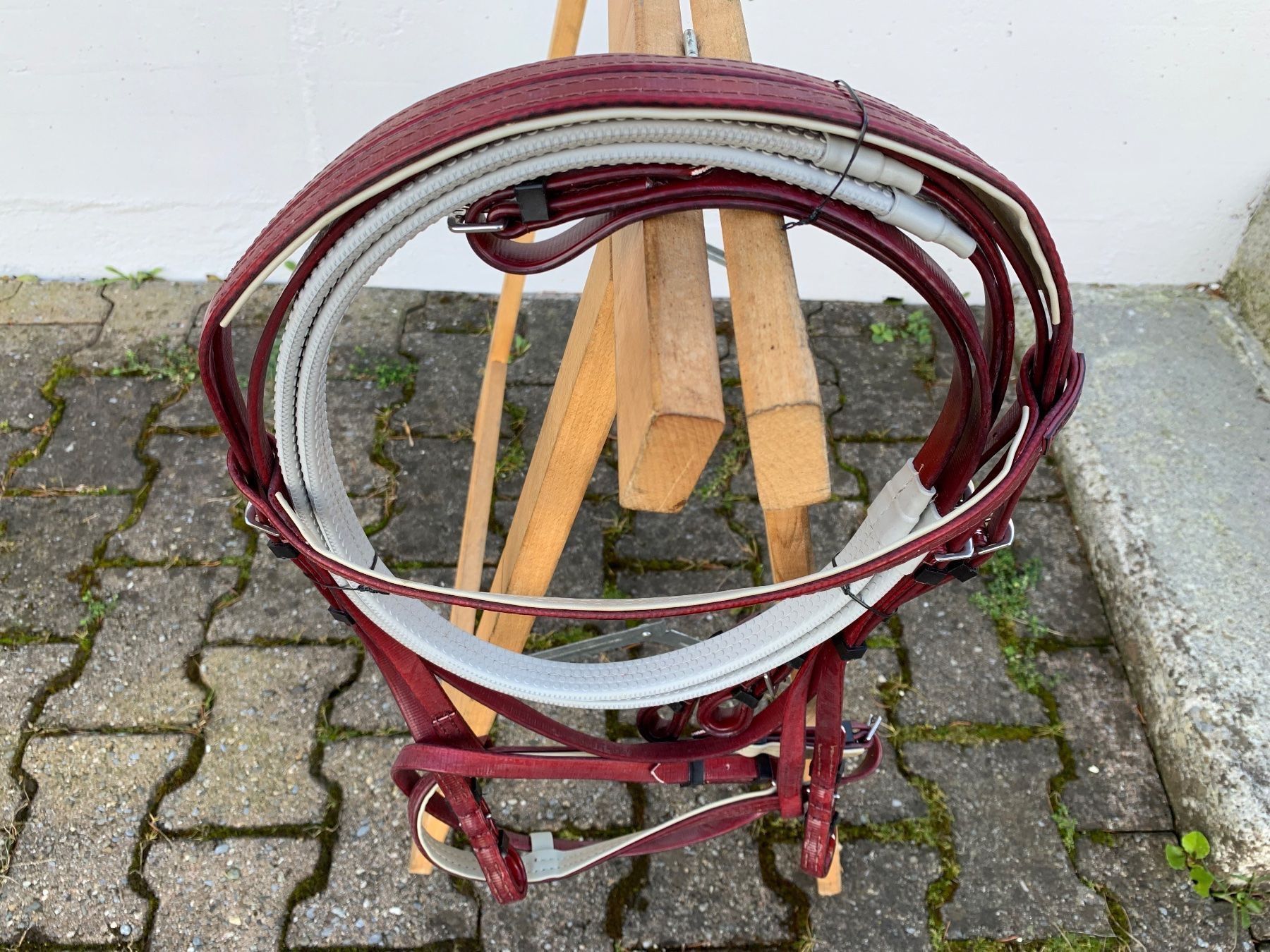 Selle & Accessori: schöner bordeauxroter Reitzaum – Usato da Feldbach venduto da Fea1 4