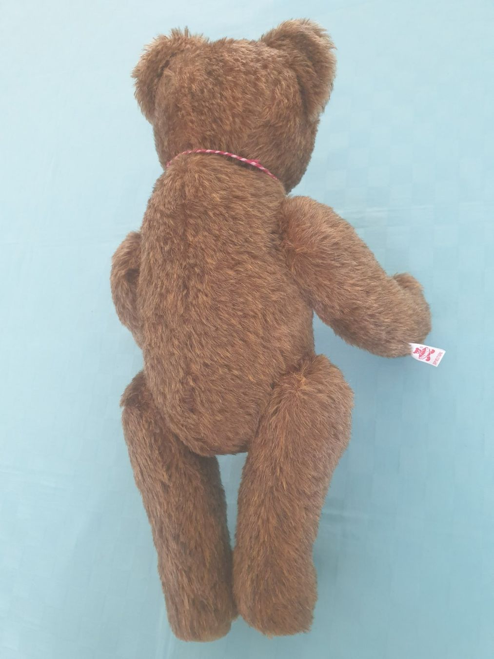Giocattoli: Teddybär Teddy Clemens – Usato da Mörschwil venduto da spirspi 9