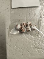 Porzellan Perlen Perles 8mm, braun, Blumen Motiv 6 Stück