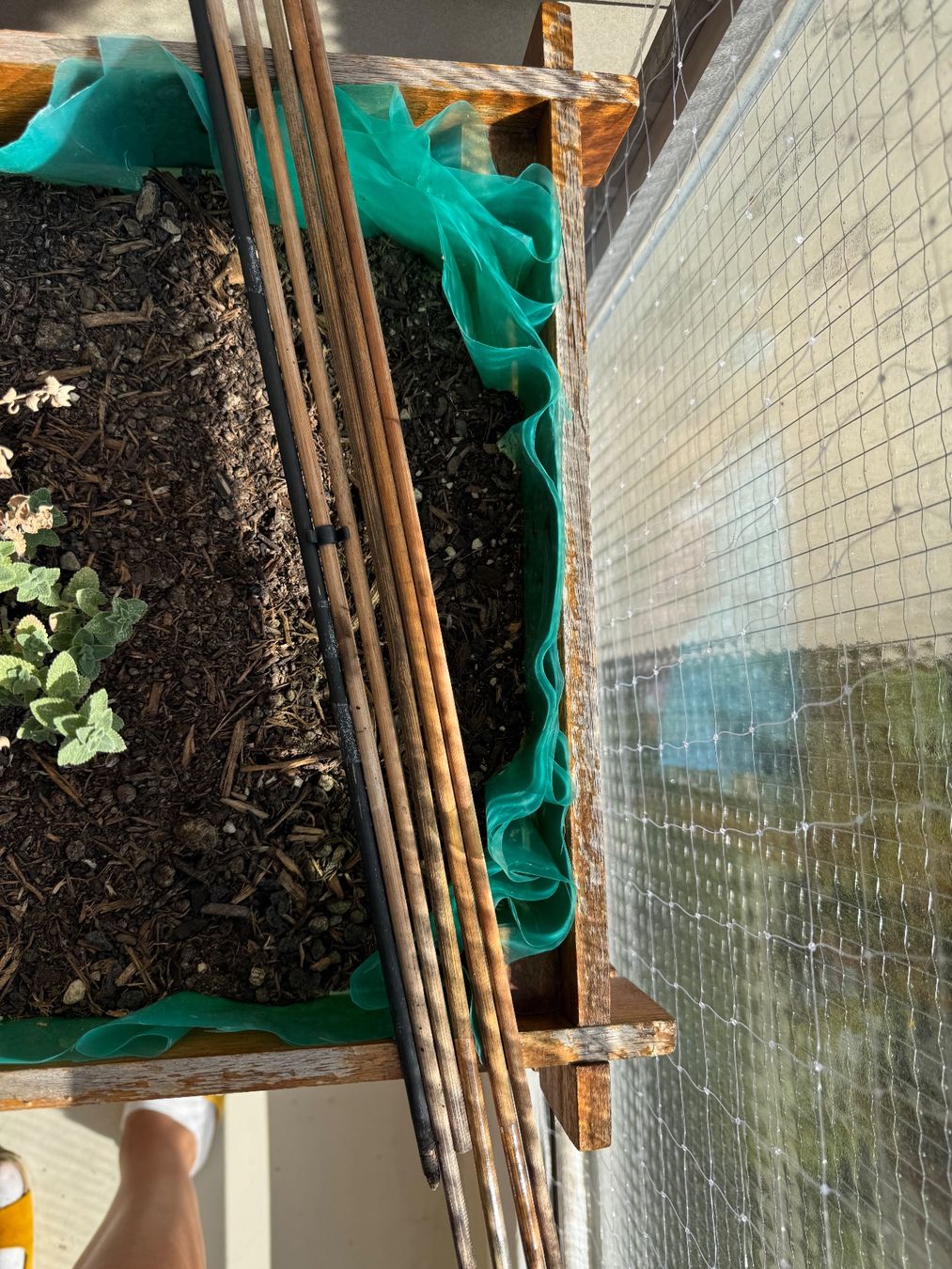 Vasi per fiori: Hochbeet selbstgemacht – Usato da Luzern venduto da MsArcal 3