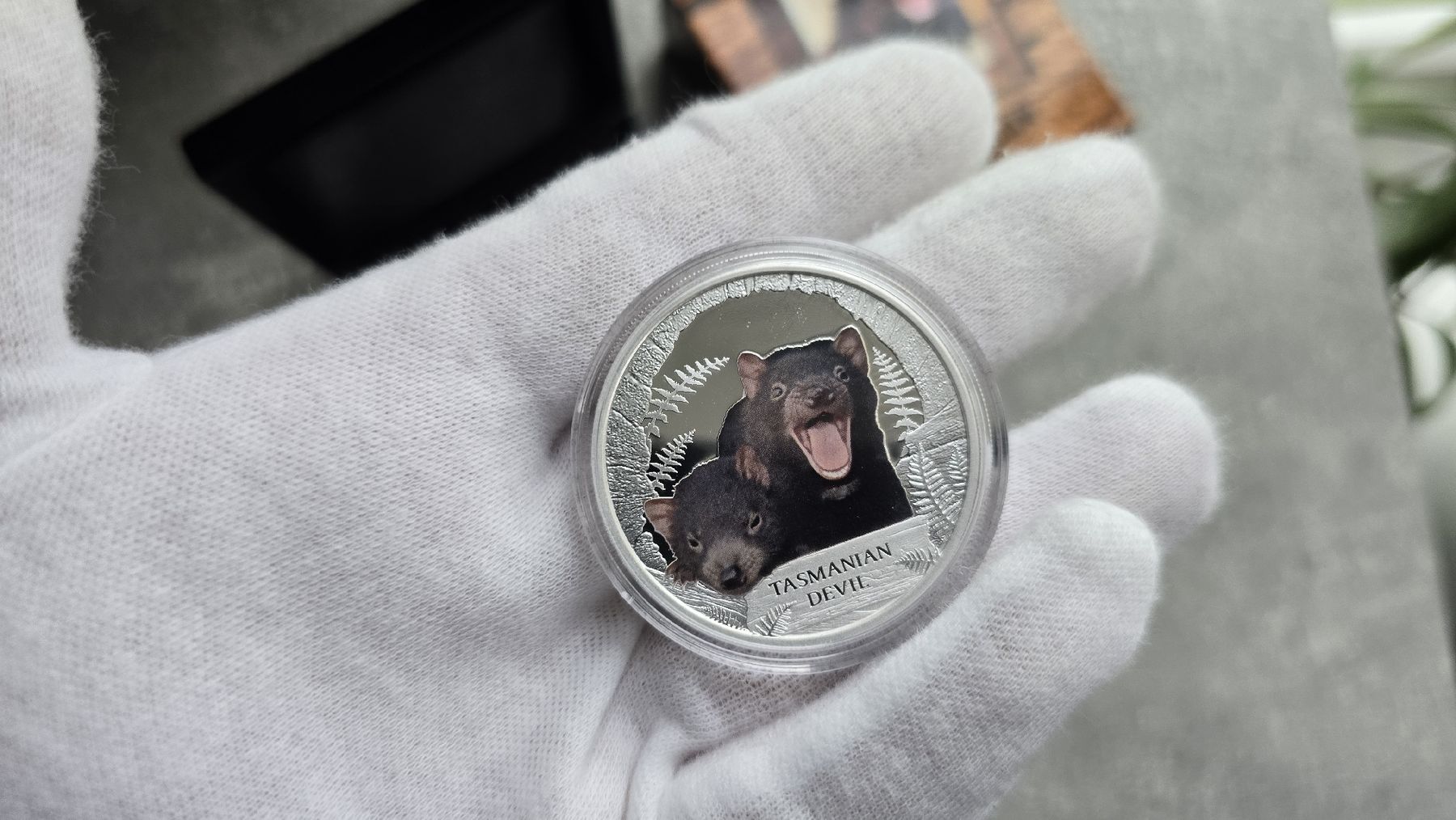 Alle Münzen: Tasmanian Devil 1 oz Silver Proof 2013 Color Endangered – Neu (gemäss Beschreibung) aus Petit-Lancy von SilverCoinCoin 3