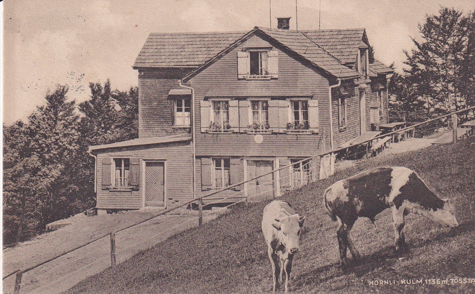 Cartoline postali: Hörnli - Kulm   ZH         um 1919 – Usato da Brig venduto da Valcards54